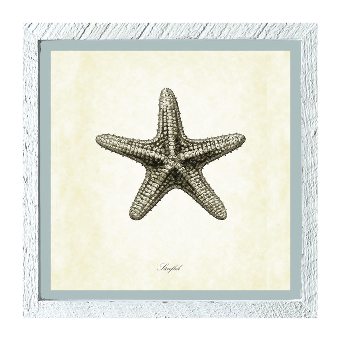 Gray Starfish - Framed art