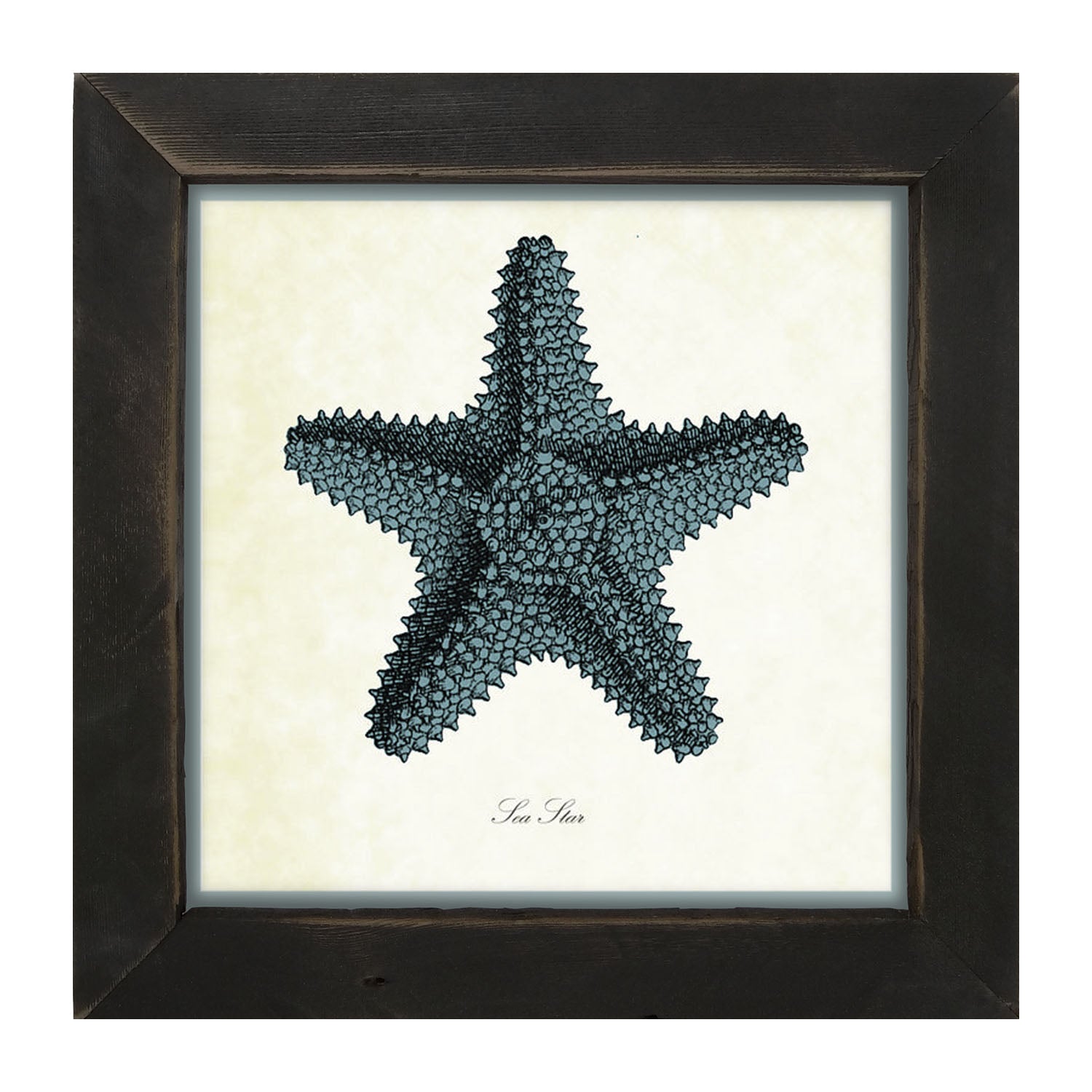 Blue Starfish - Framed art