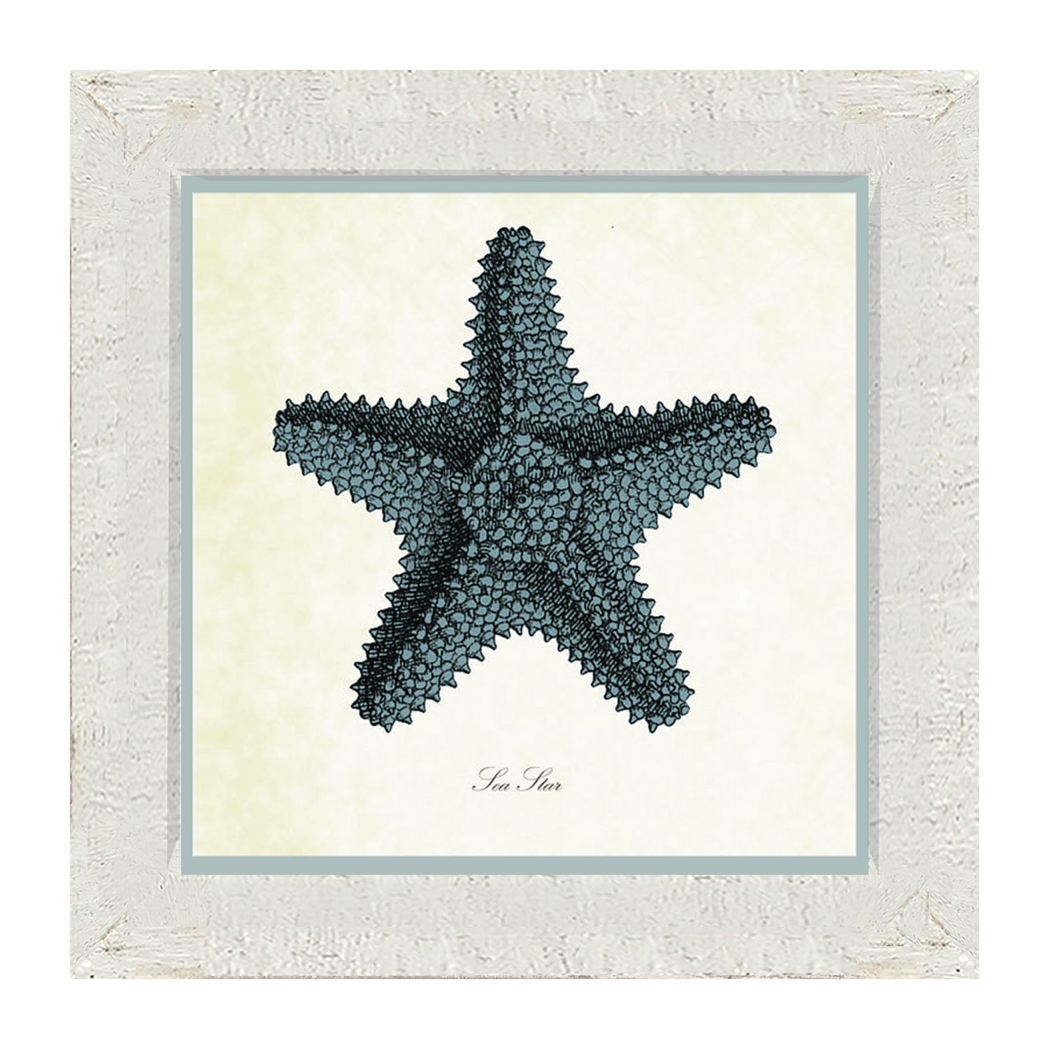 Blue Starfish - Framed art