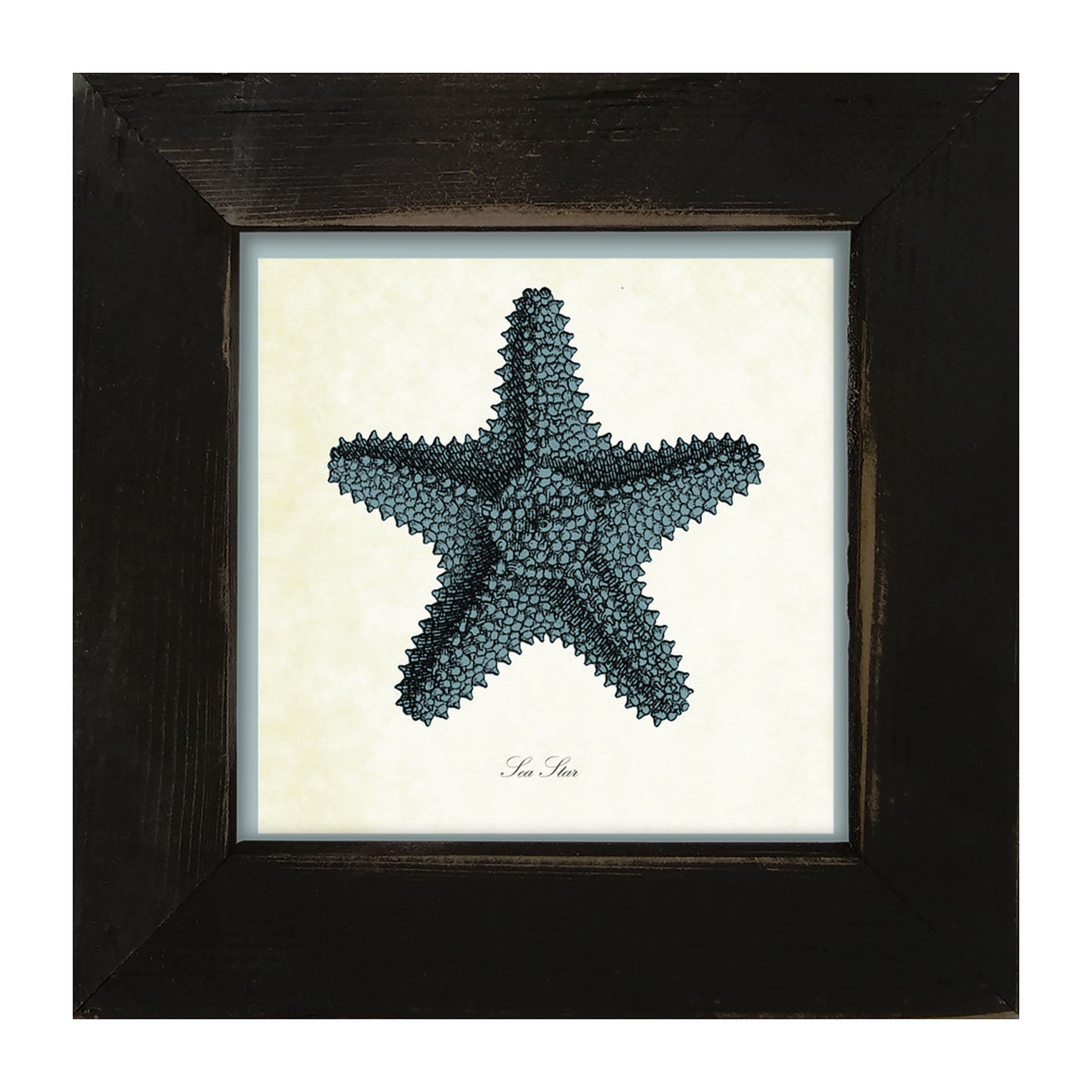 Blue Starfish - Framed art