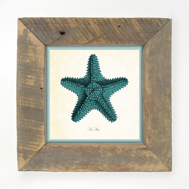 Blue Starfish