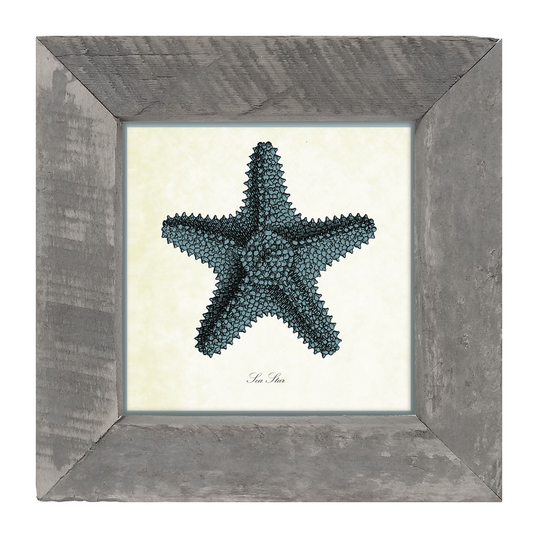 Blue Starfish - Framed art