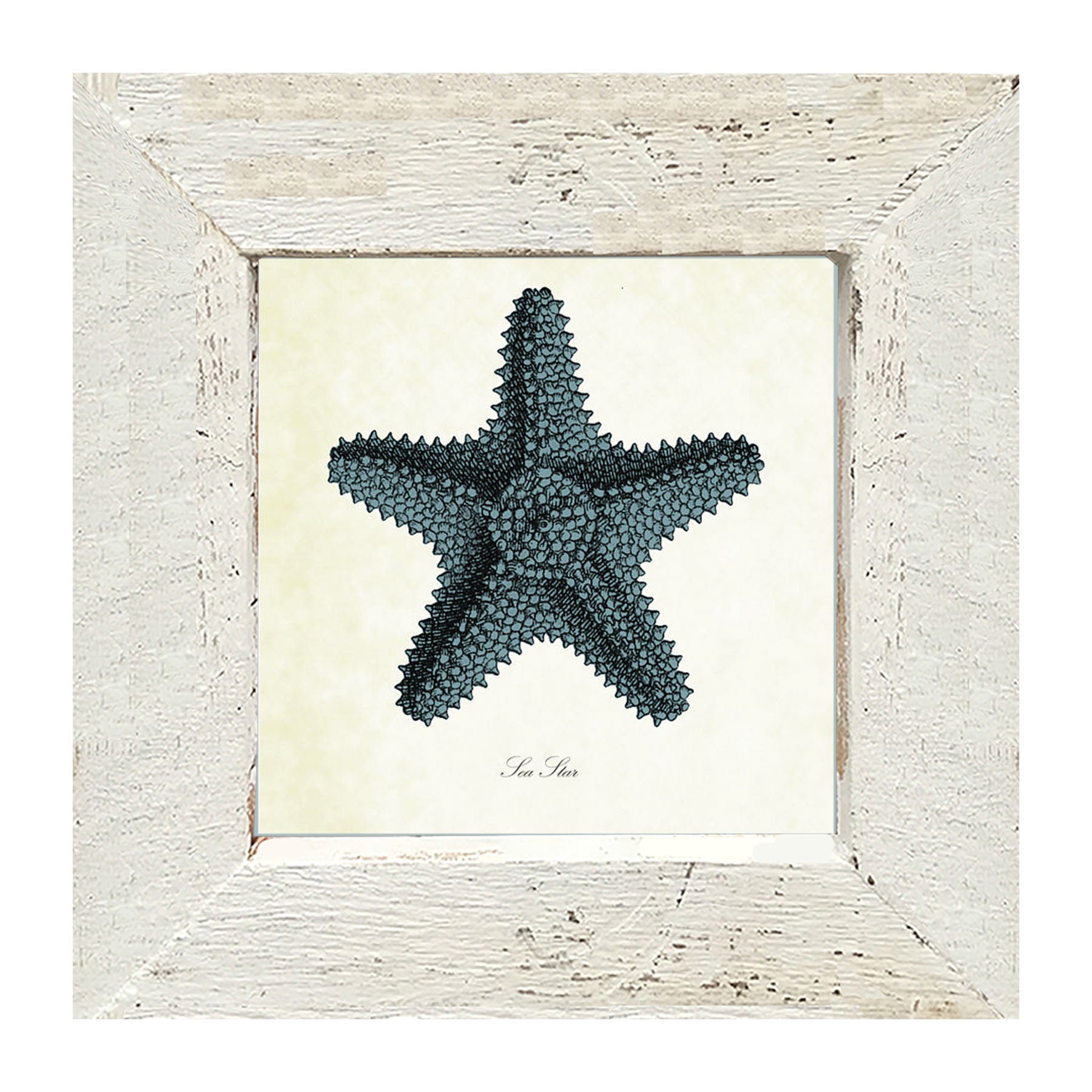 Blue Starfish - Framed art