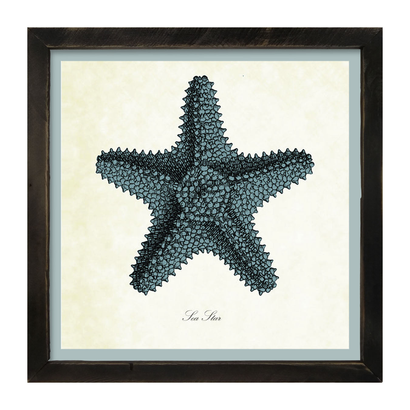 Blue Starfish - Framed art