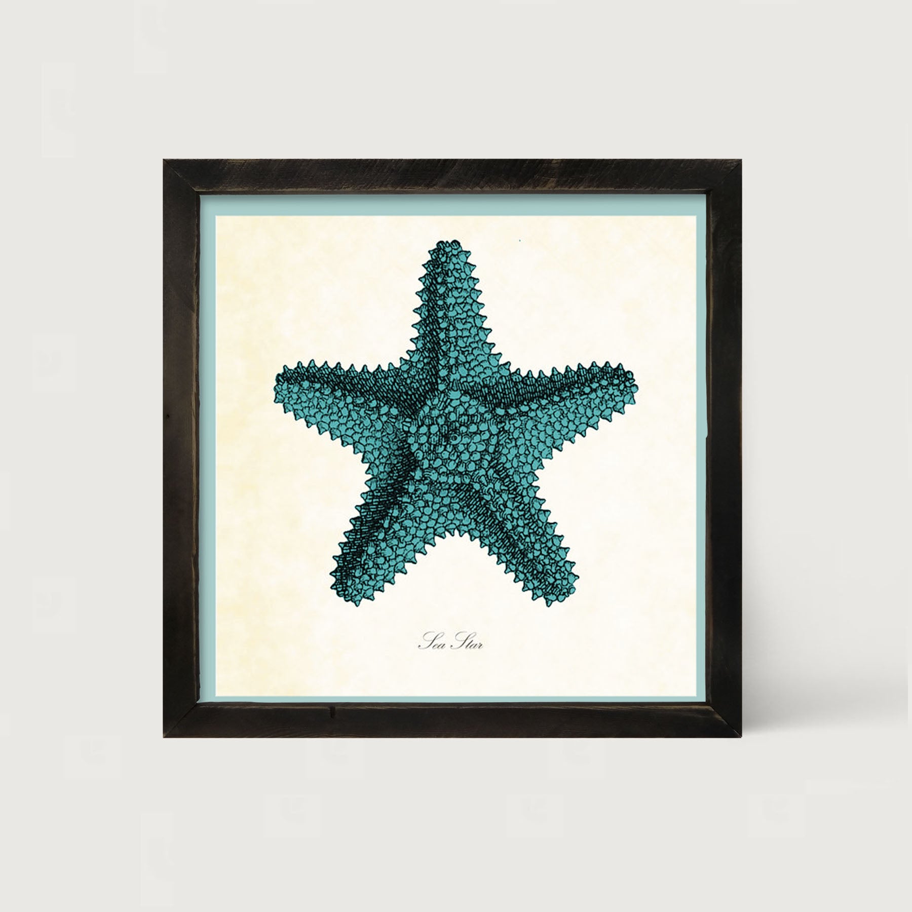 Blue Starfish - Framed art