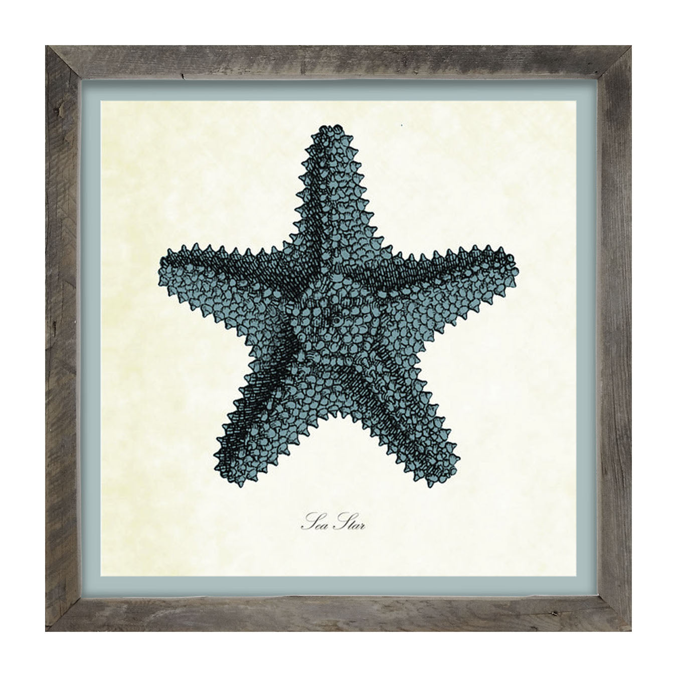 Blue Starfish - Framed art