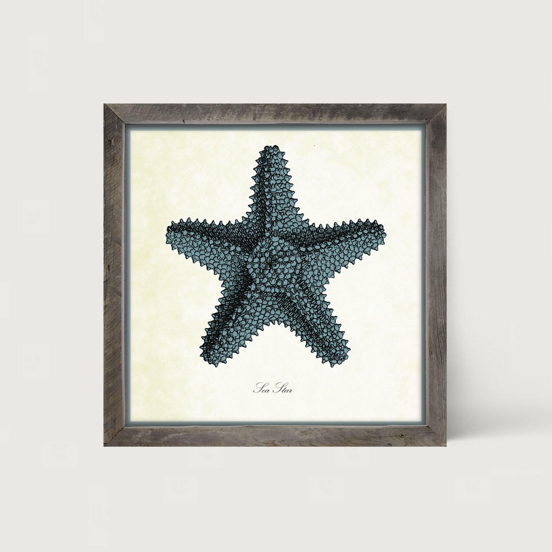 Blue Starfish - Framed art