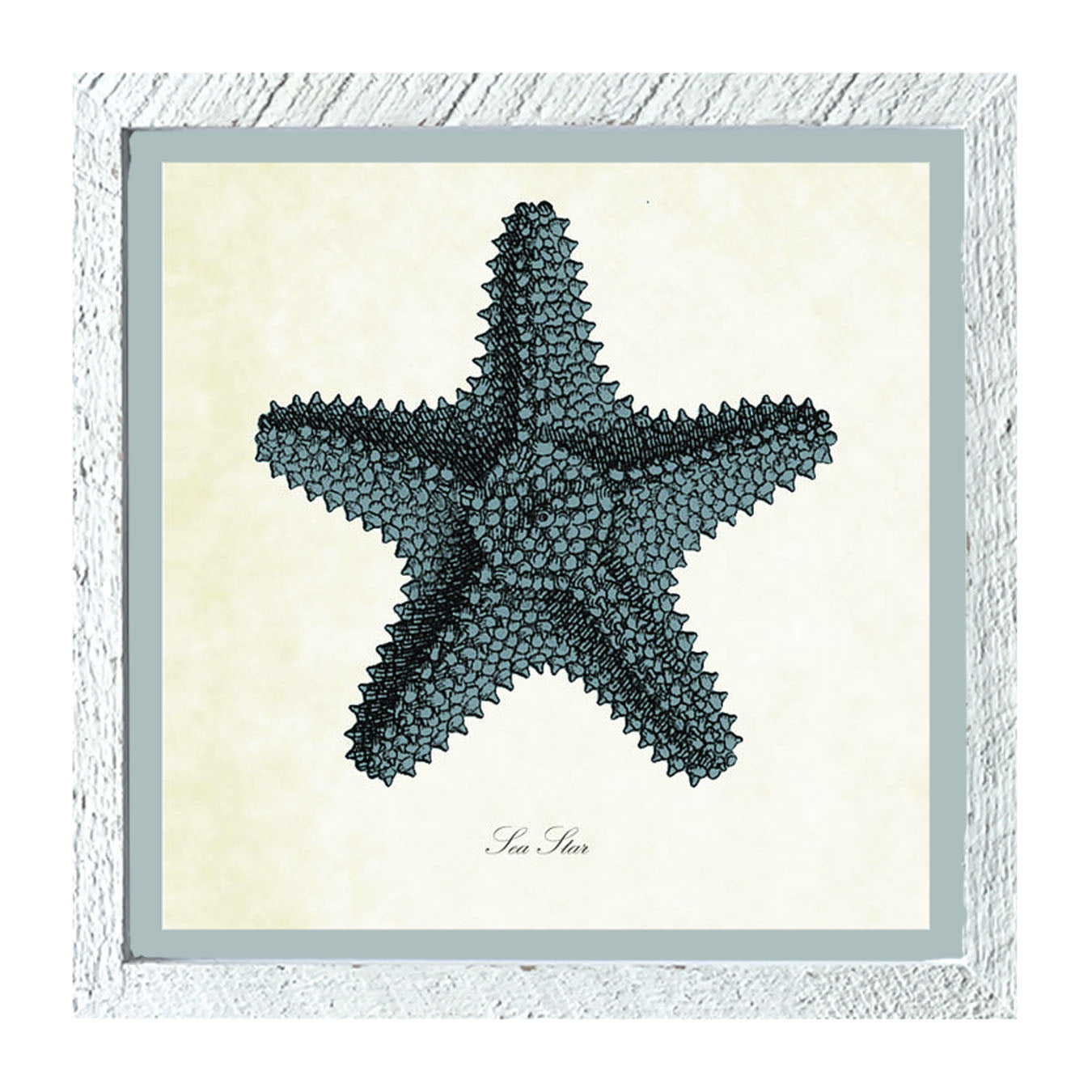 Blue Starfish - Framed art