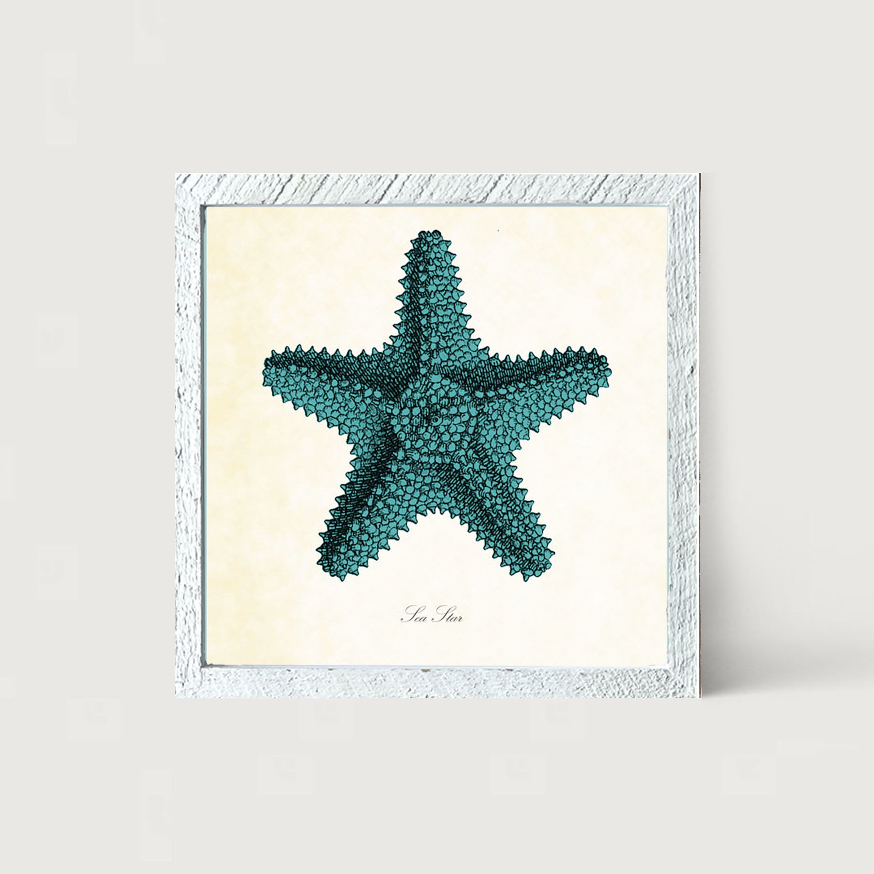 Blue Starfish - Framed art