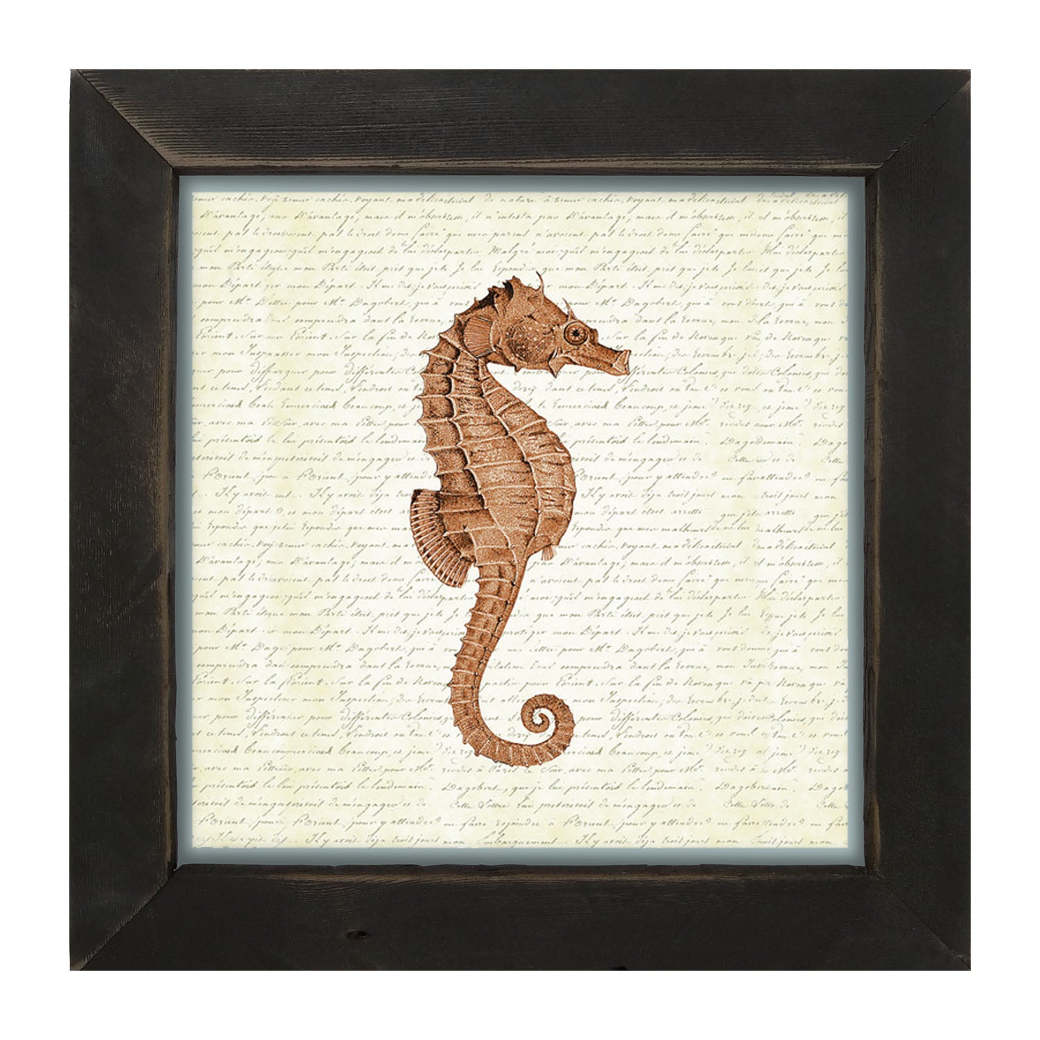 Coral Seahorse - Framed art