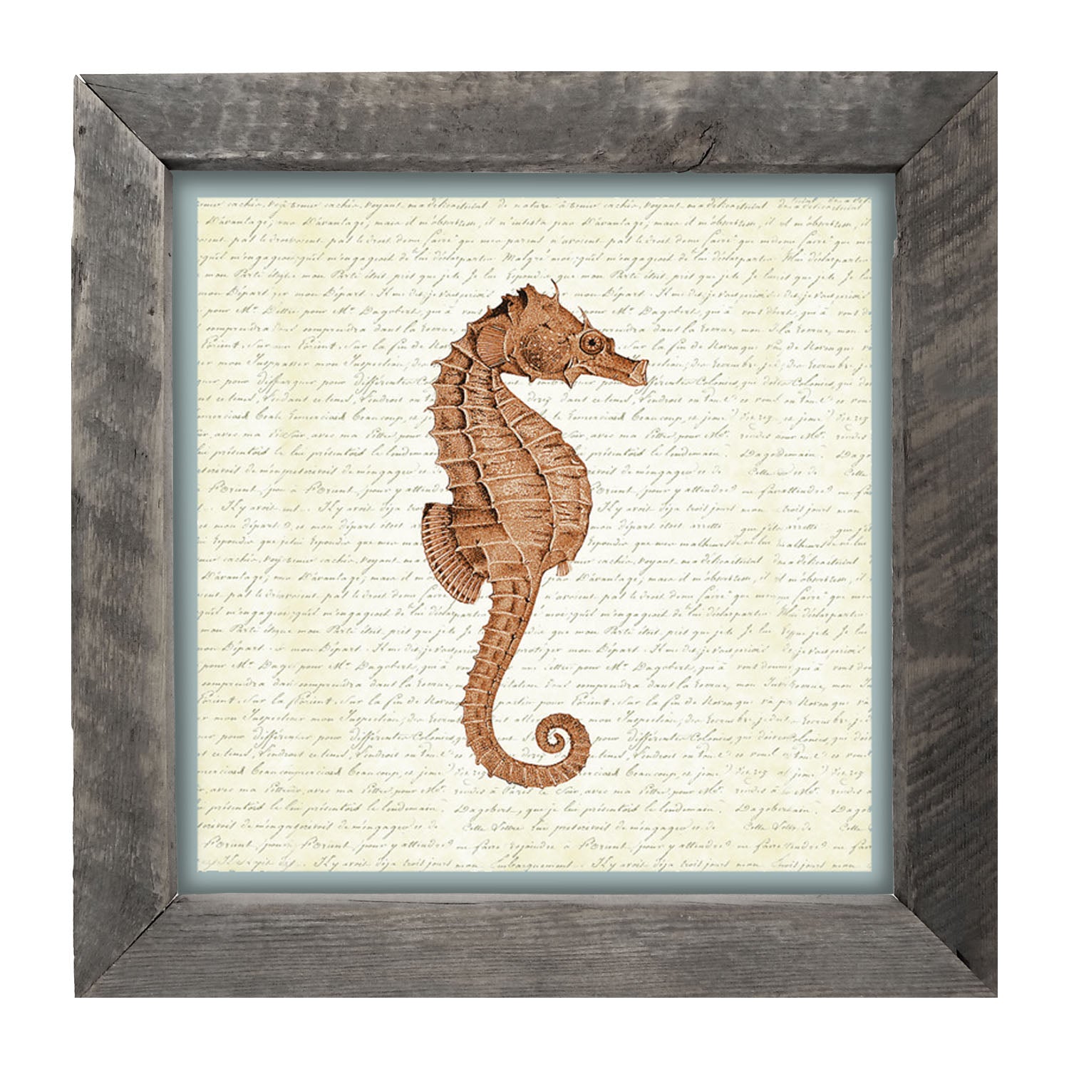Coral Seahorse - Framed art