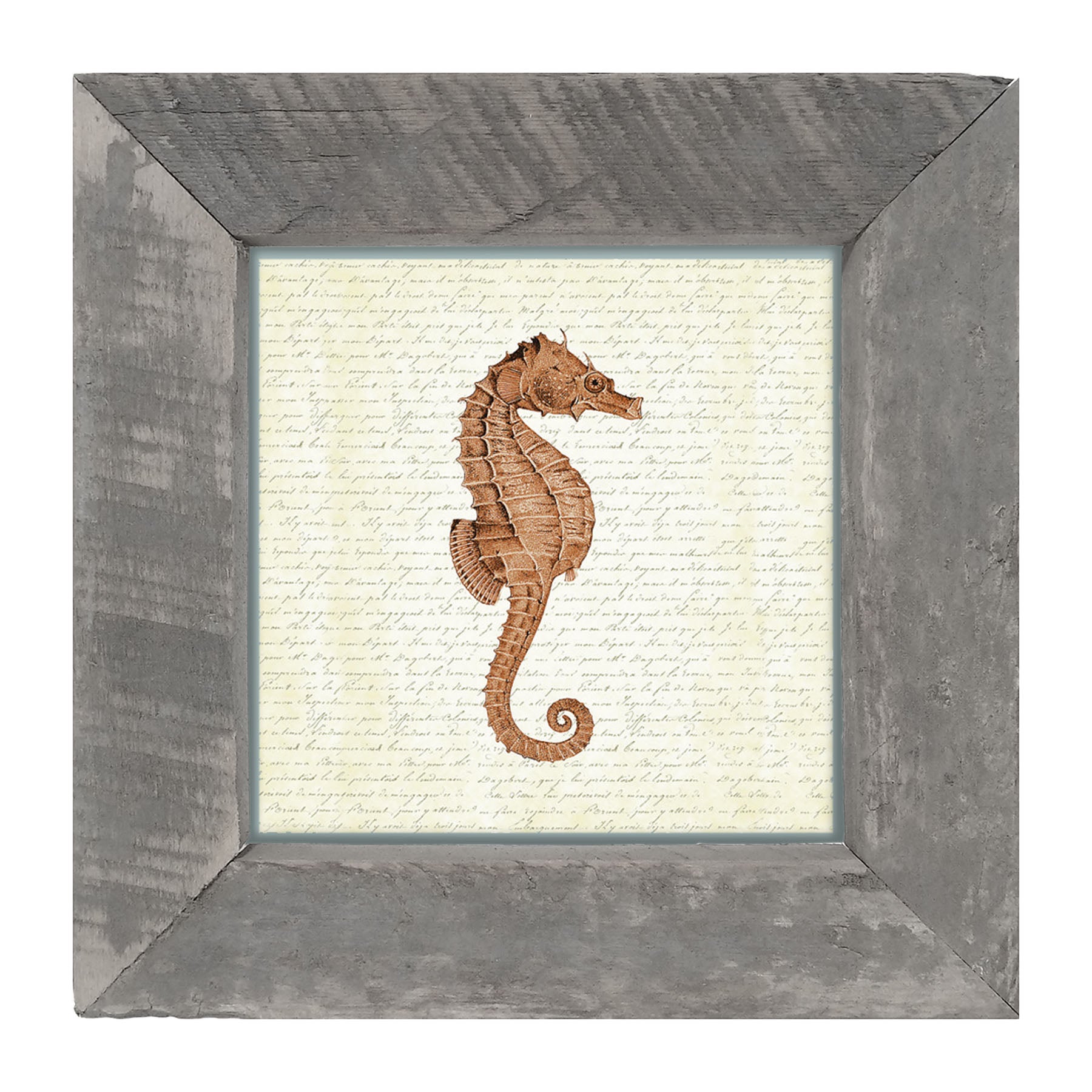 Coral Seahorse - Framed art
