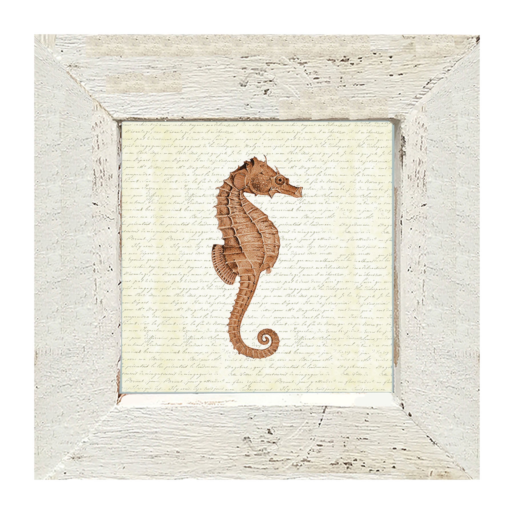 Coral Seahorse - Framed art