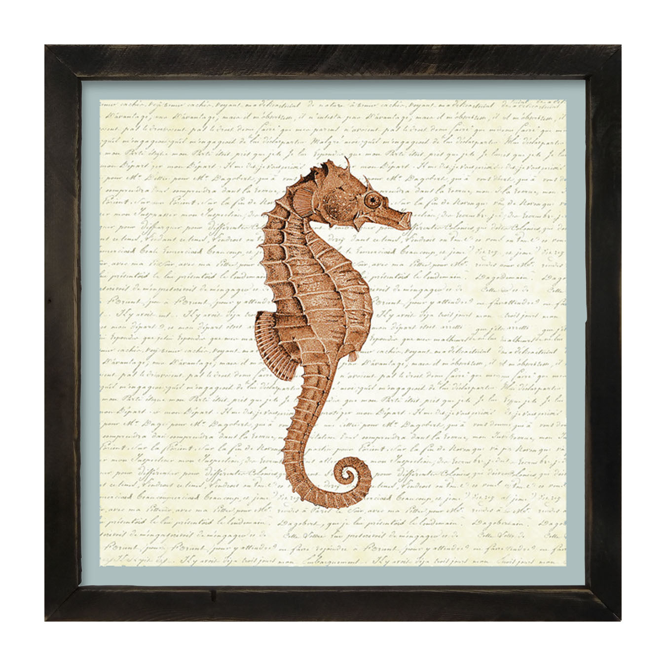 Coral Seahorse - Framed art