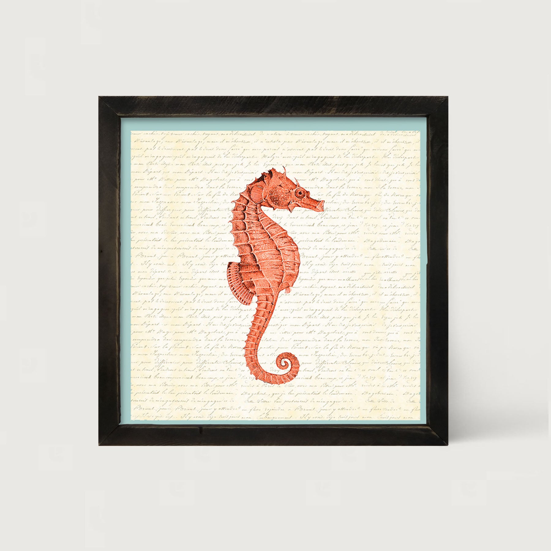 Coral Seahorse - Framed art
