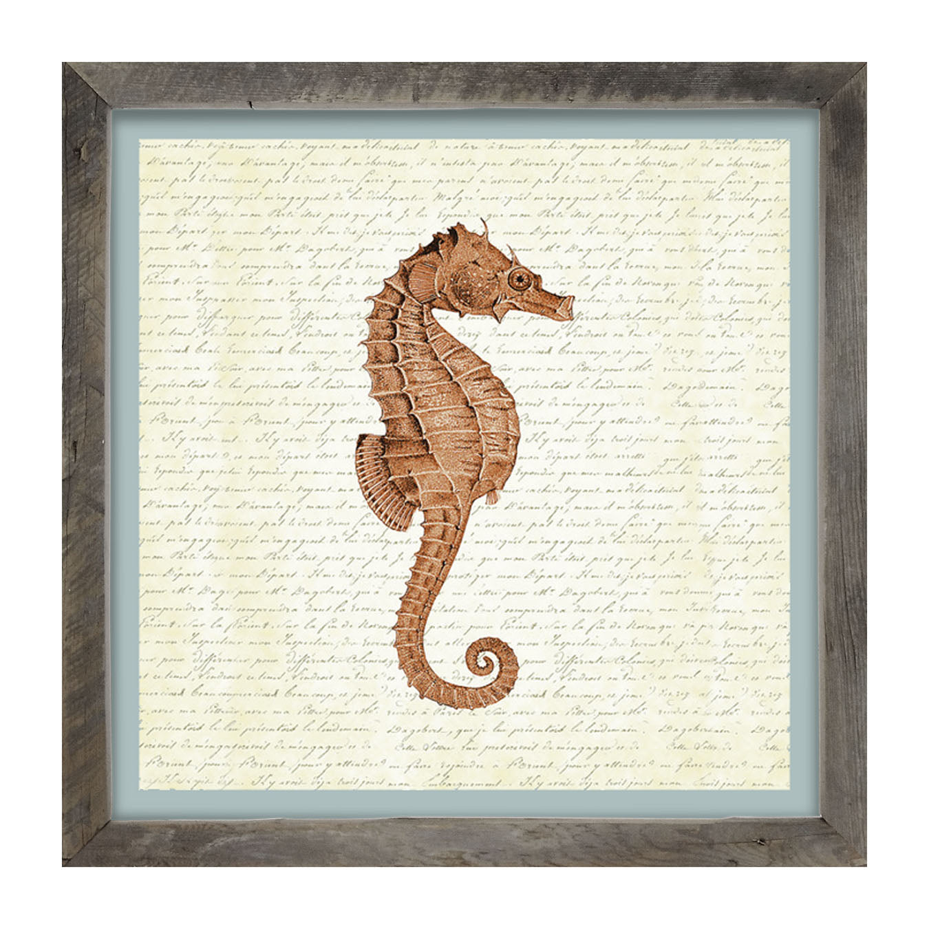 Coral Seahorse - Framed art
