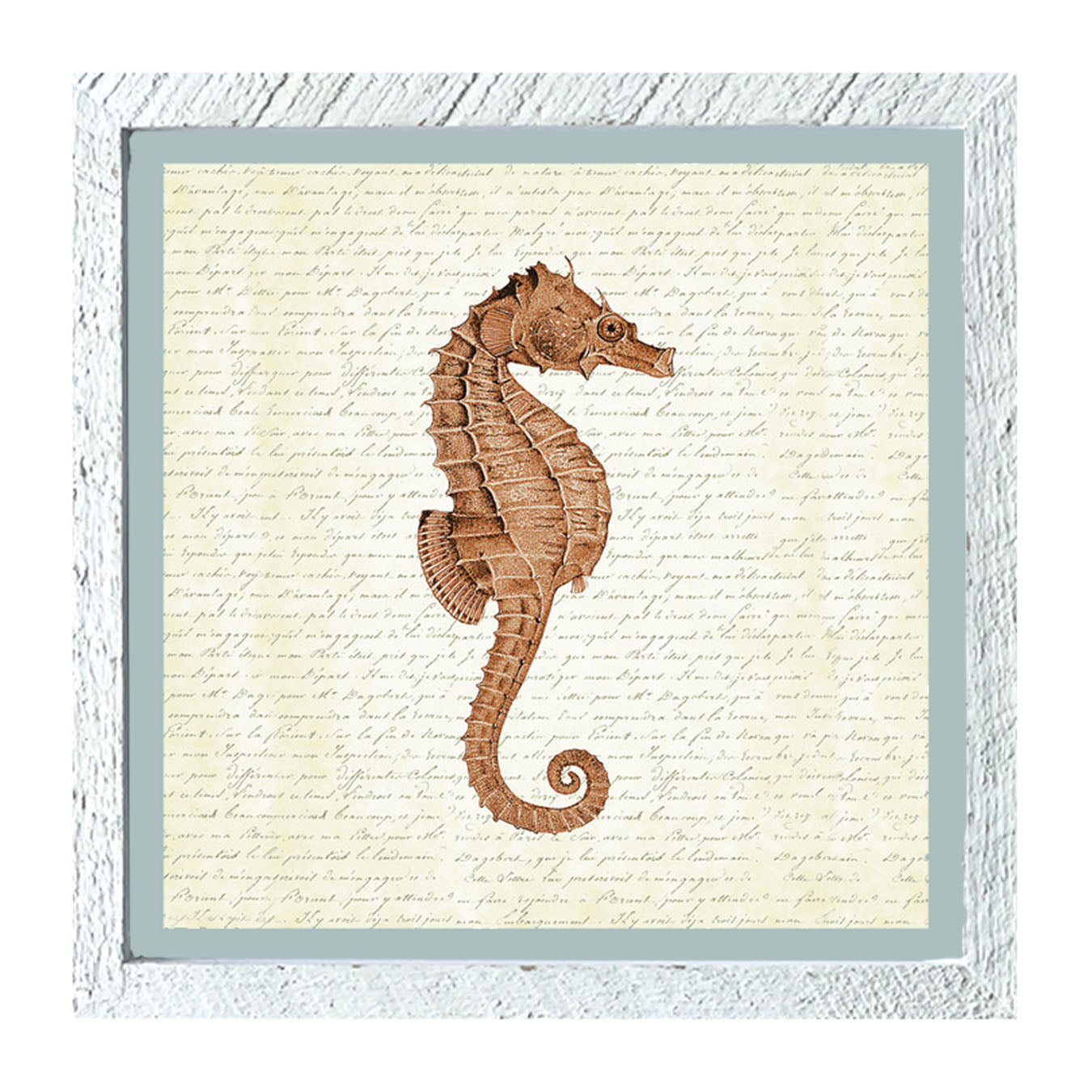 Coral Seahorse - Framed art