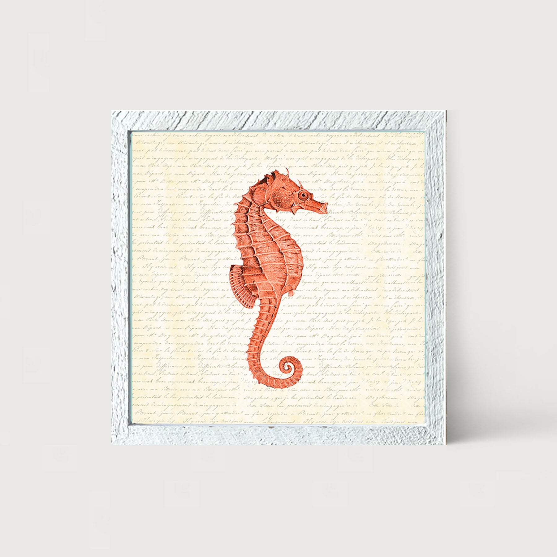 Coral Seahorse - Framed art