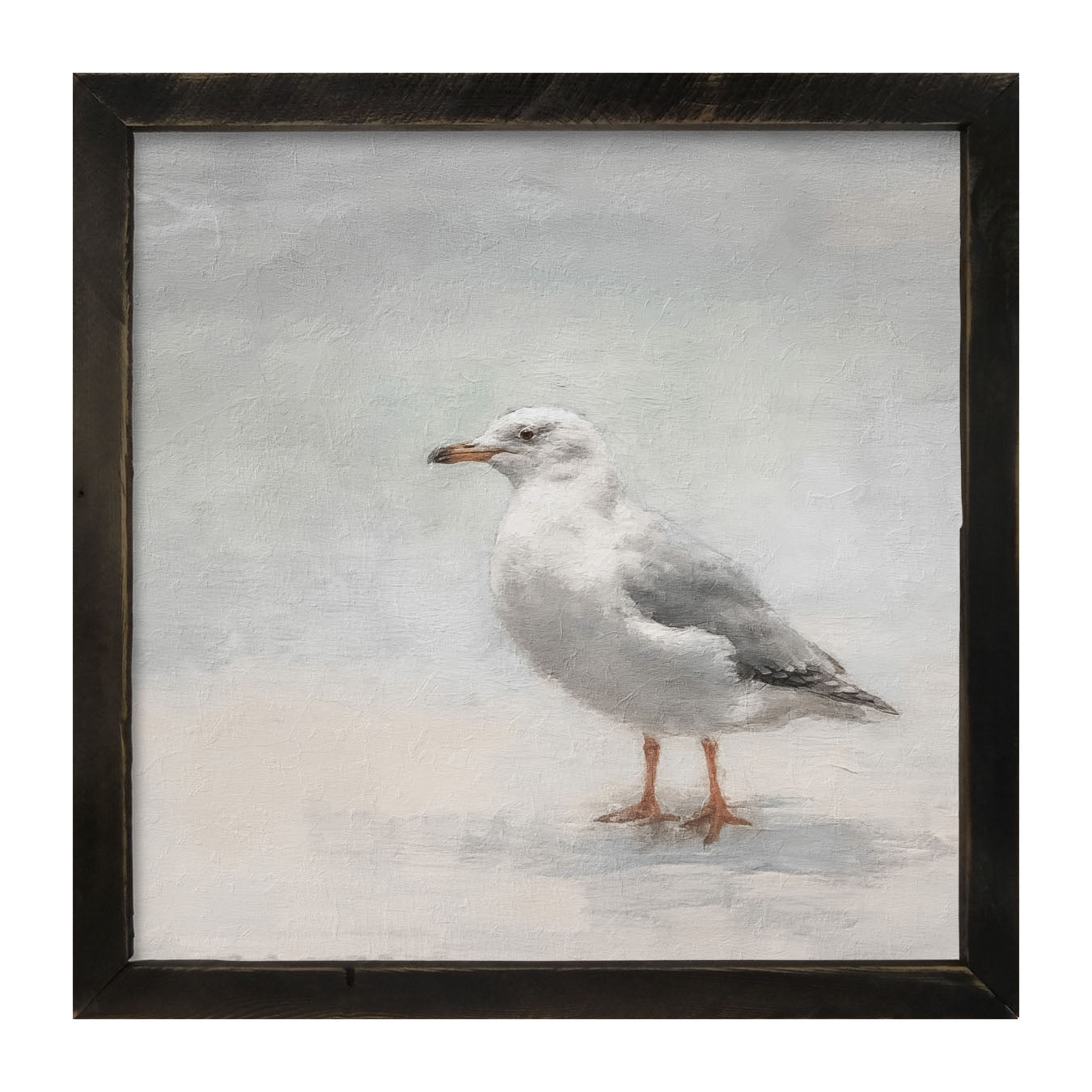 Seagull - Framed art