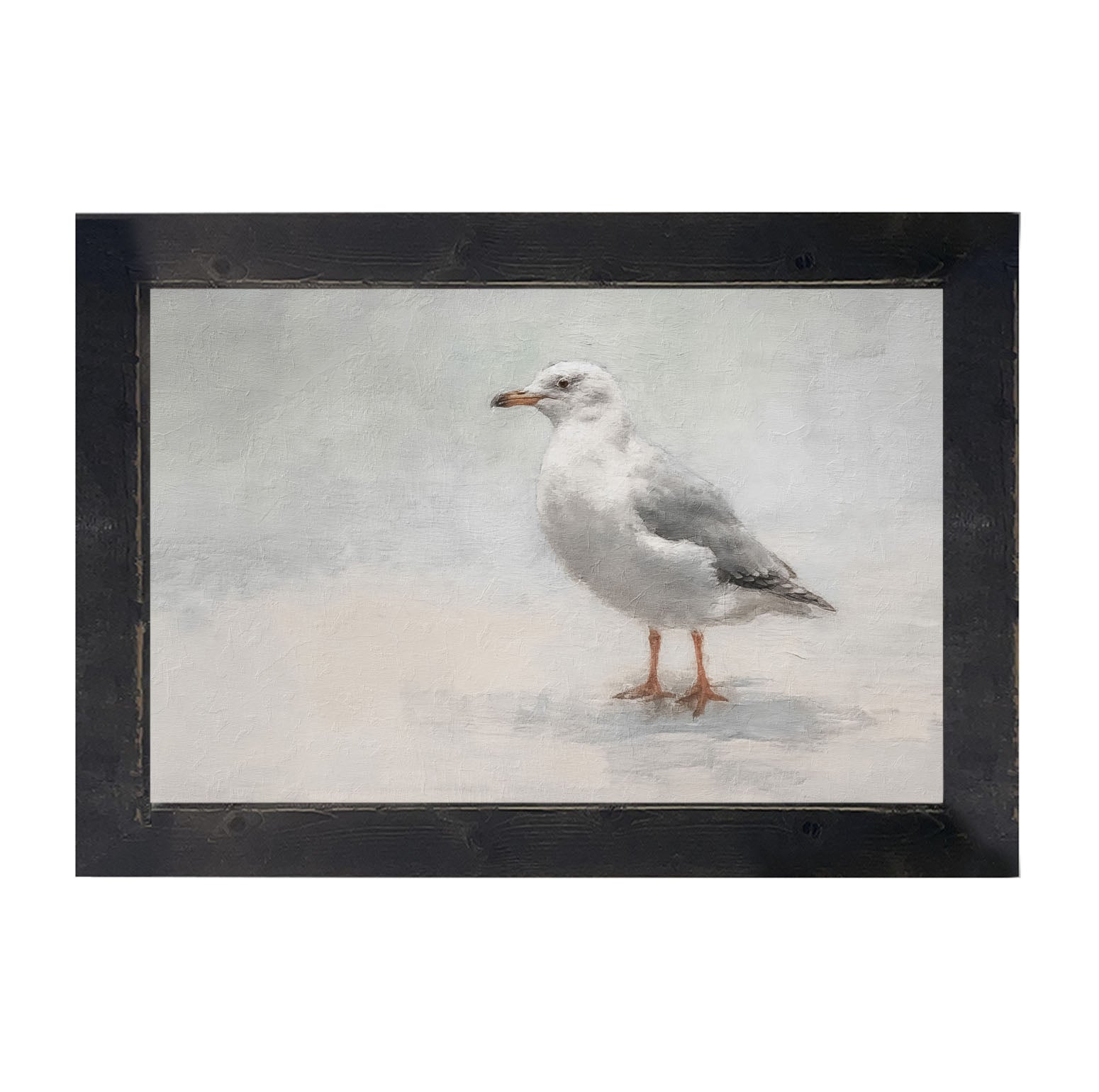 Seagull - Framed art