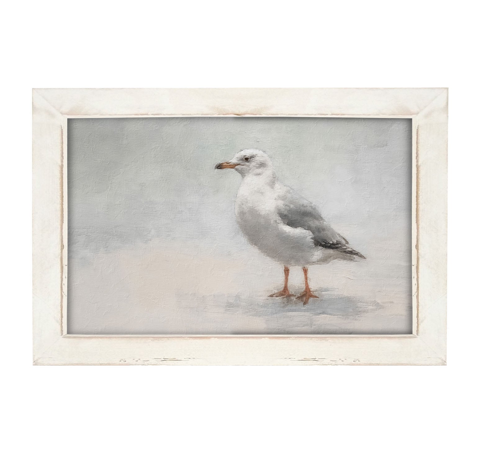 Seagull - Framed art