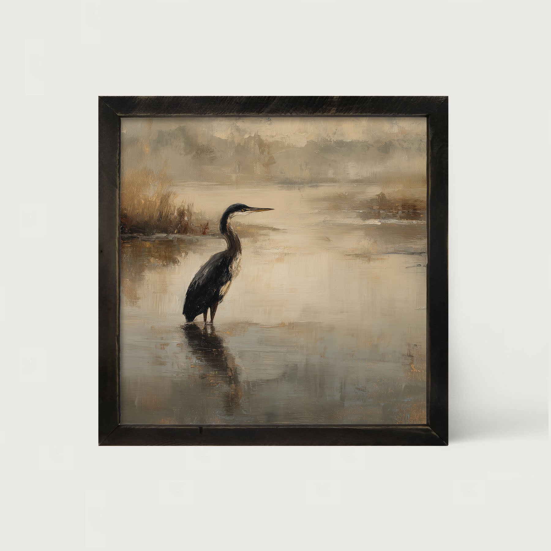 Pelican in the Water