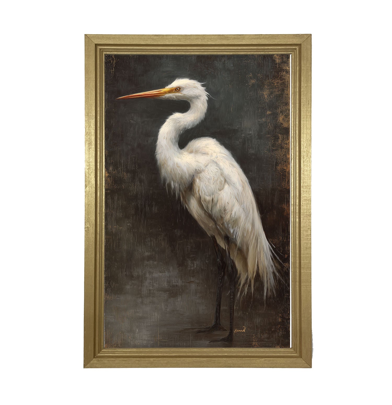 Beach Bird - White Pelican - Framed Art