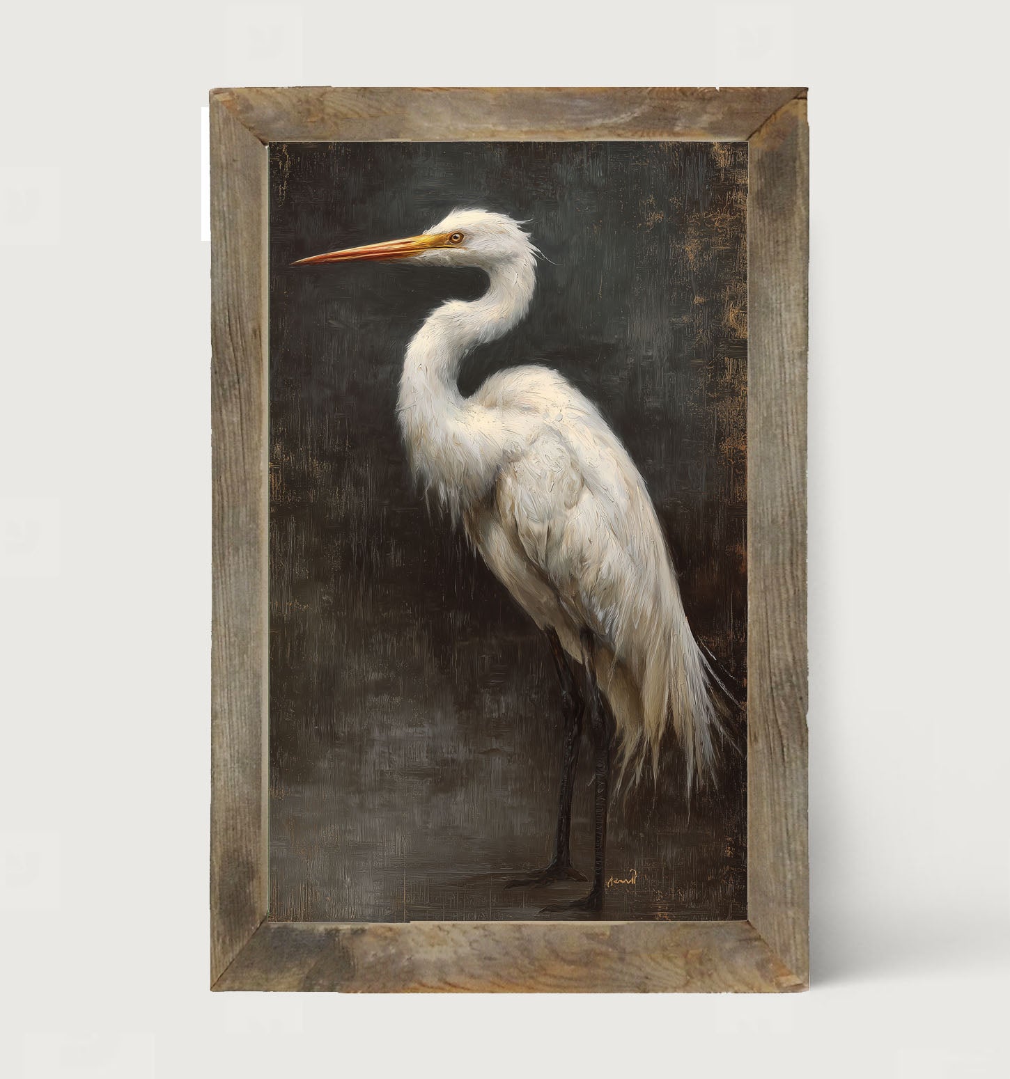 Beach Bird - White Pelican