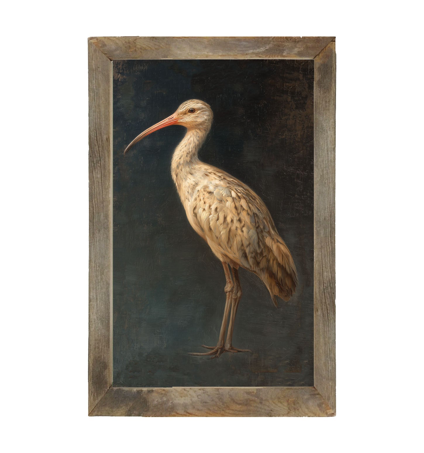 Beach Bird - Tan Bird - Framed Art
