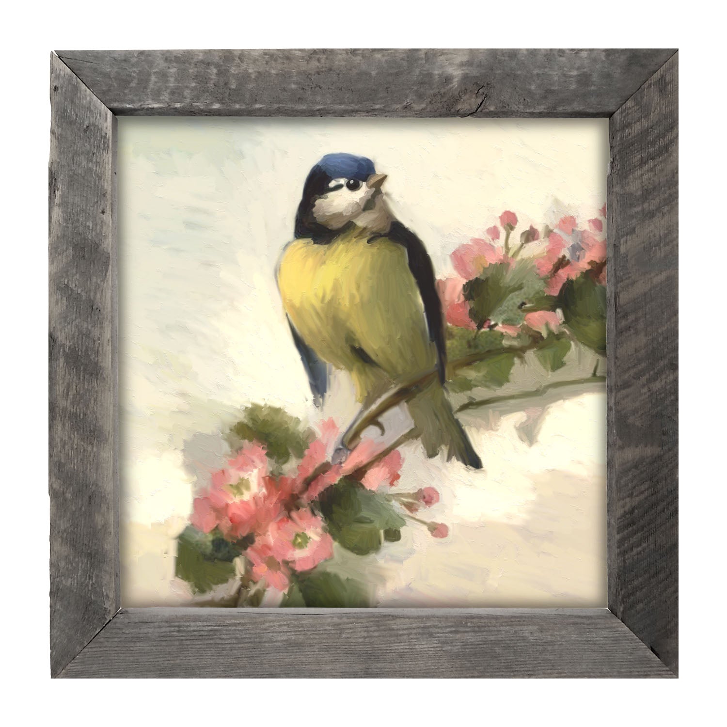 Blue Jay - Framed art