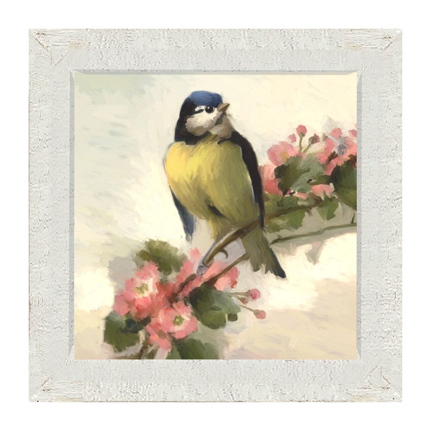 Blue Jay - Framed art