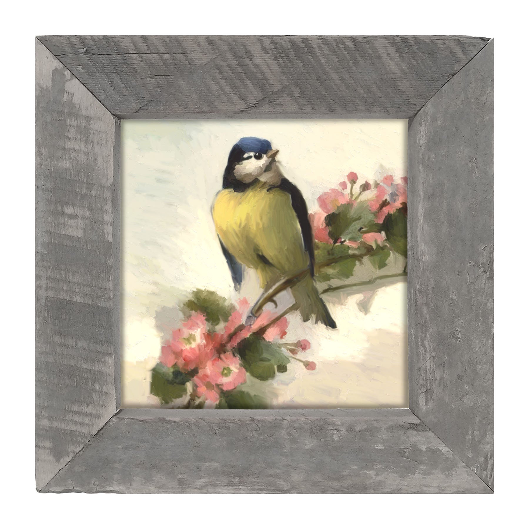 Blue Jay - Framed art