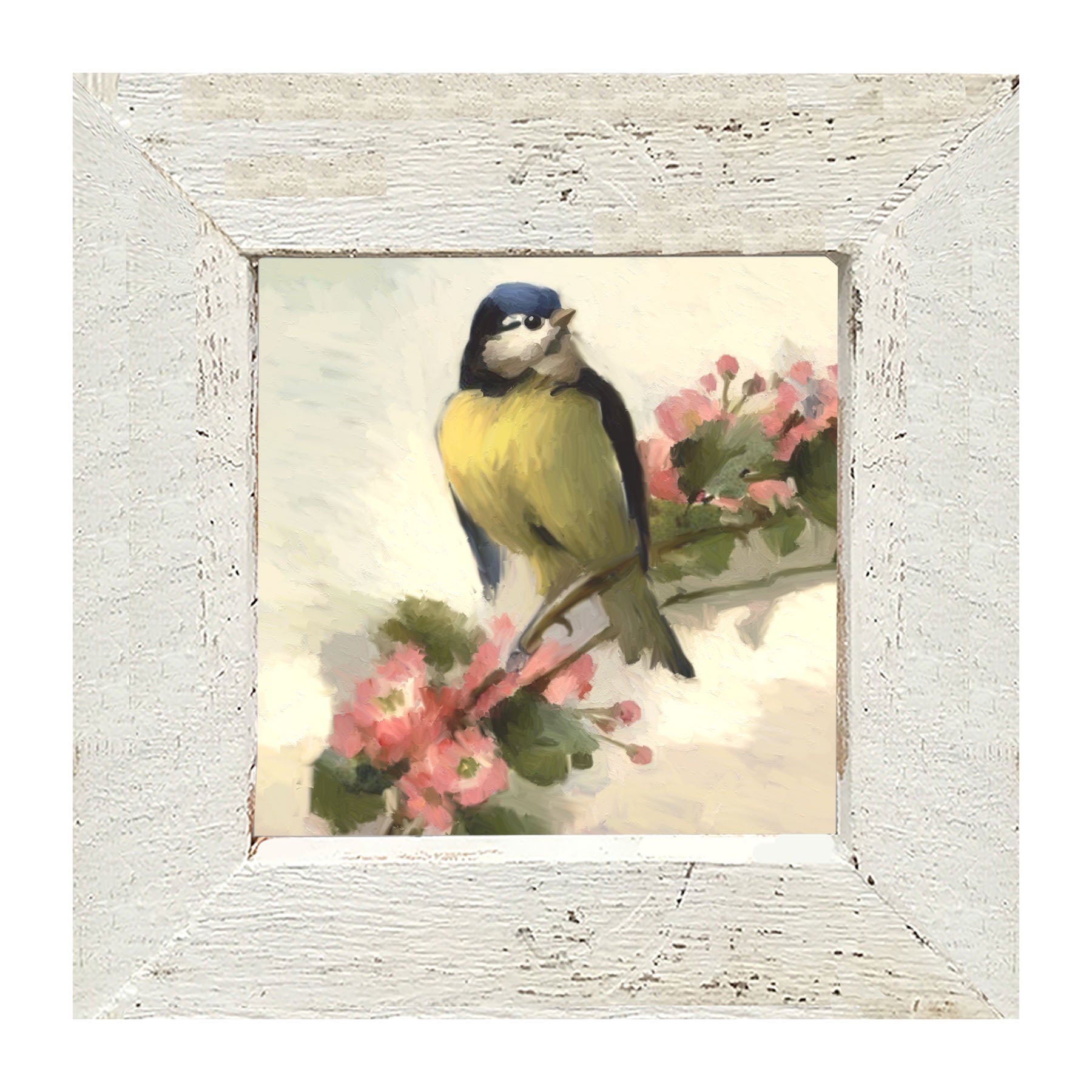 Blue Jay - Framed art