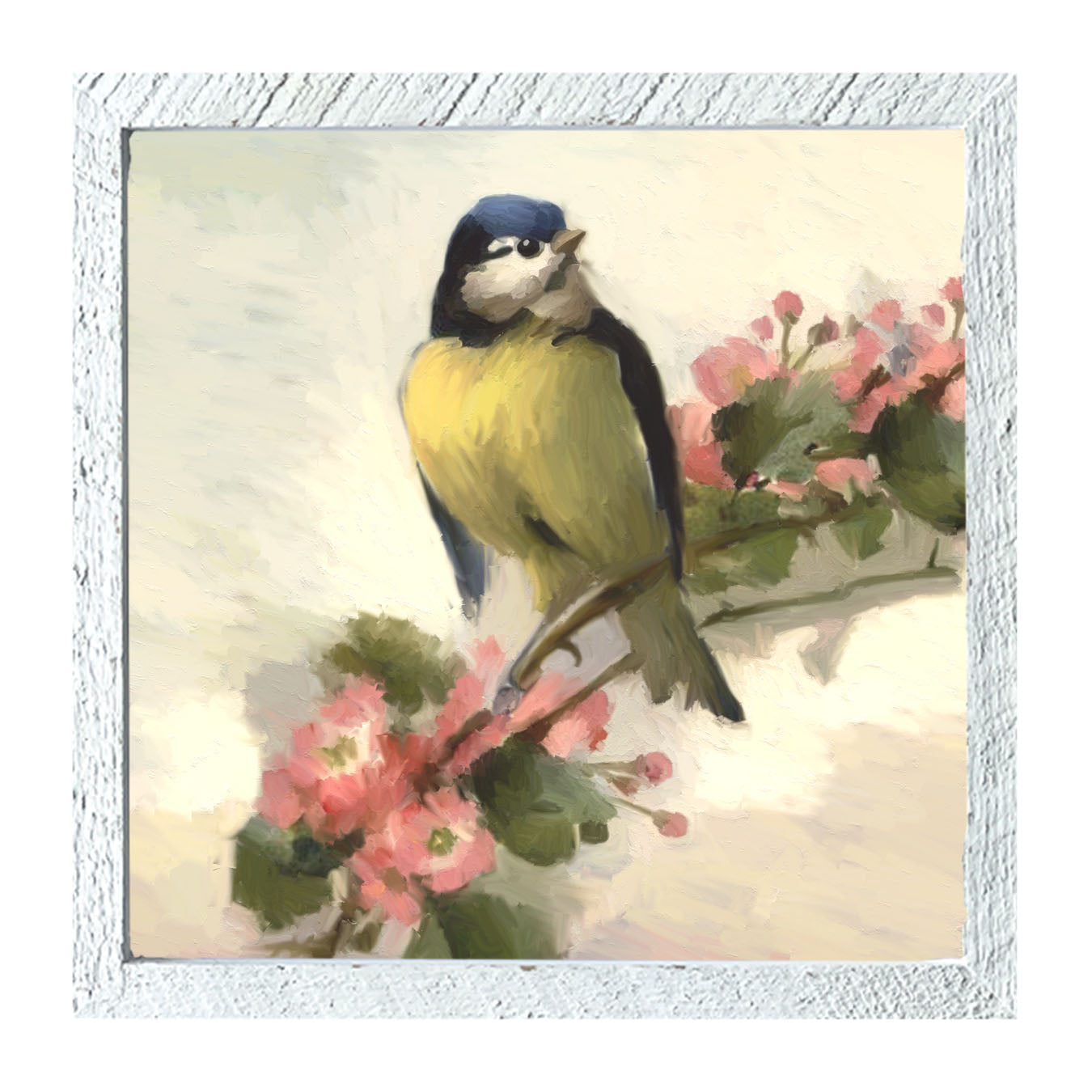 Blue Jay - Framed art