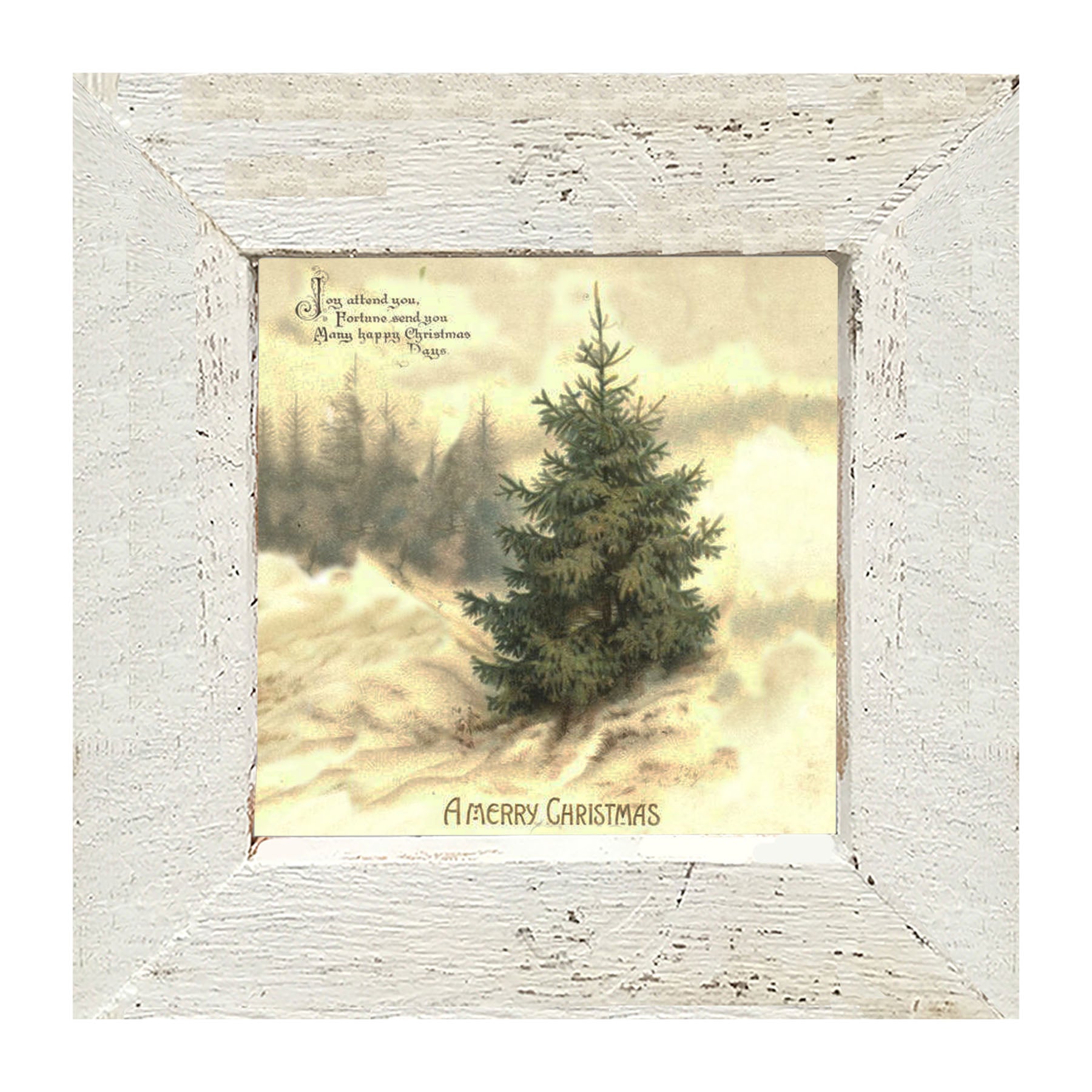 Winter Tree (Joy Attend You) - Framed art