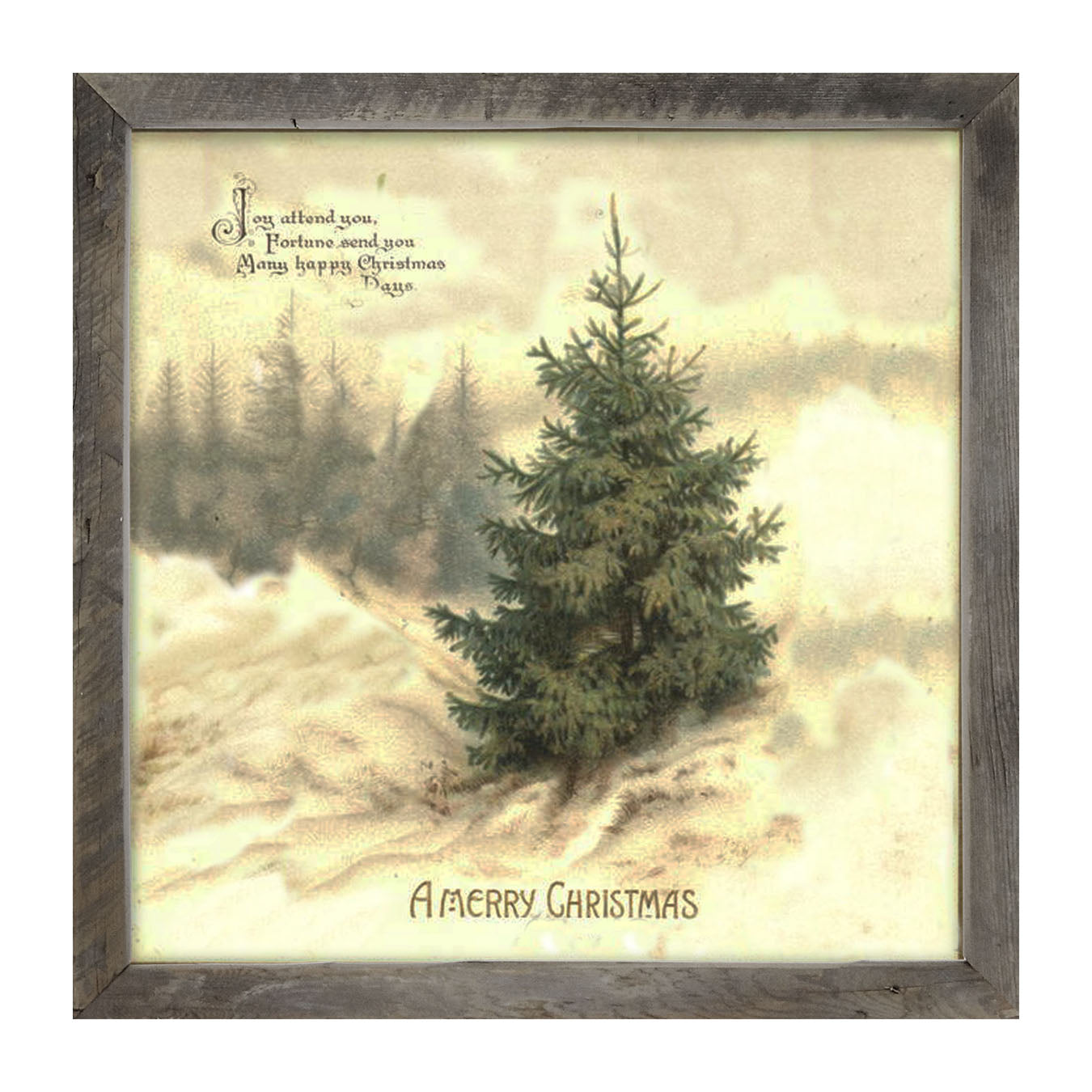 Winter Tree (Joy Attend You) - Framed art
