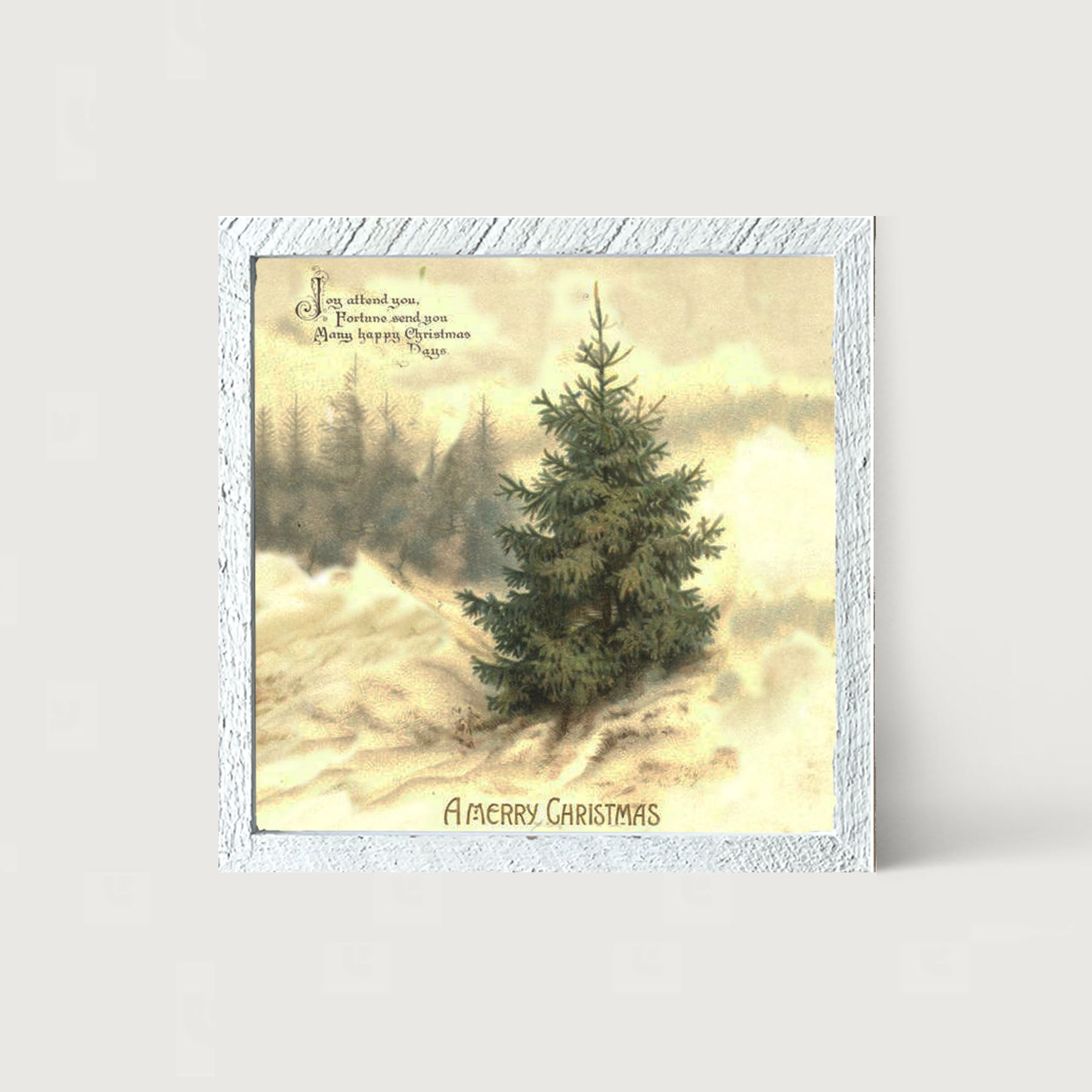 Winter Tree (Joy Attend You) - Framed art