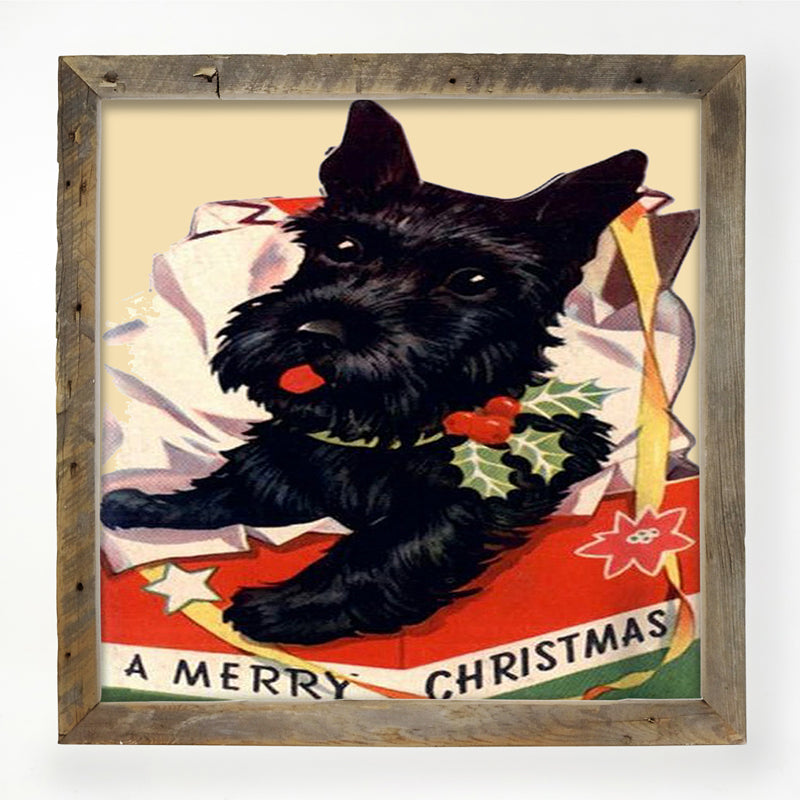 Christmas Scotty