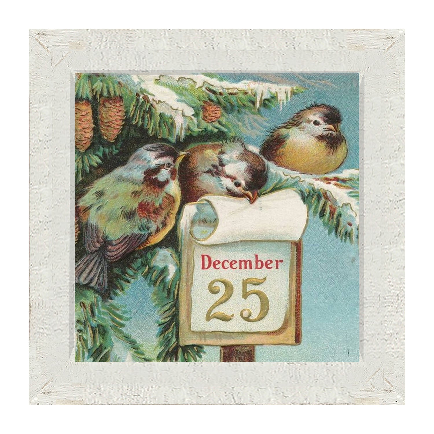 Dec 25 Birds - Framed art