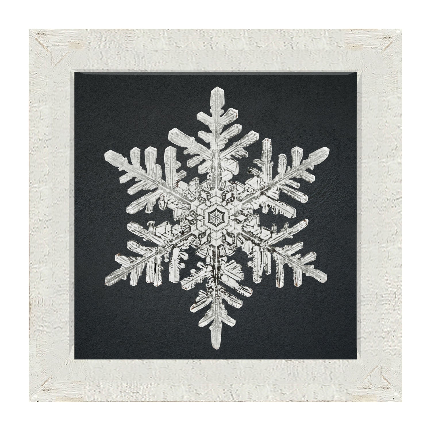 Snowflake-B - Framed art