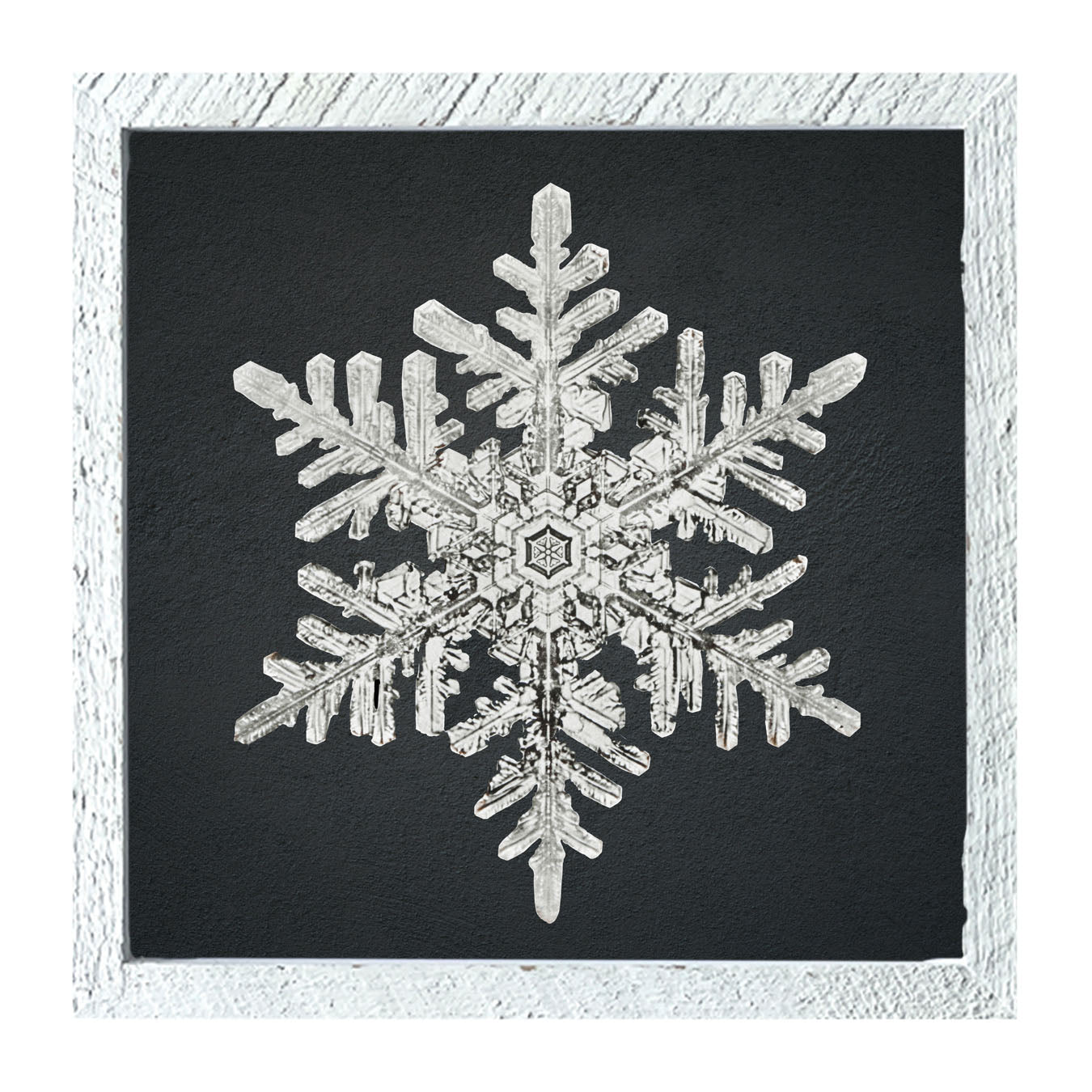 Snowflake-B - Framed art