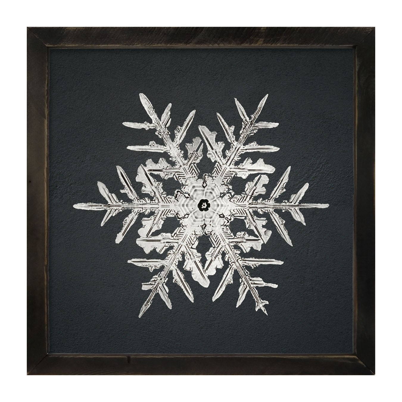 Snowflake-C