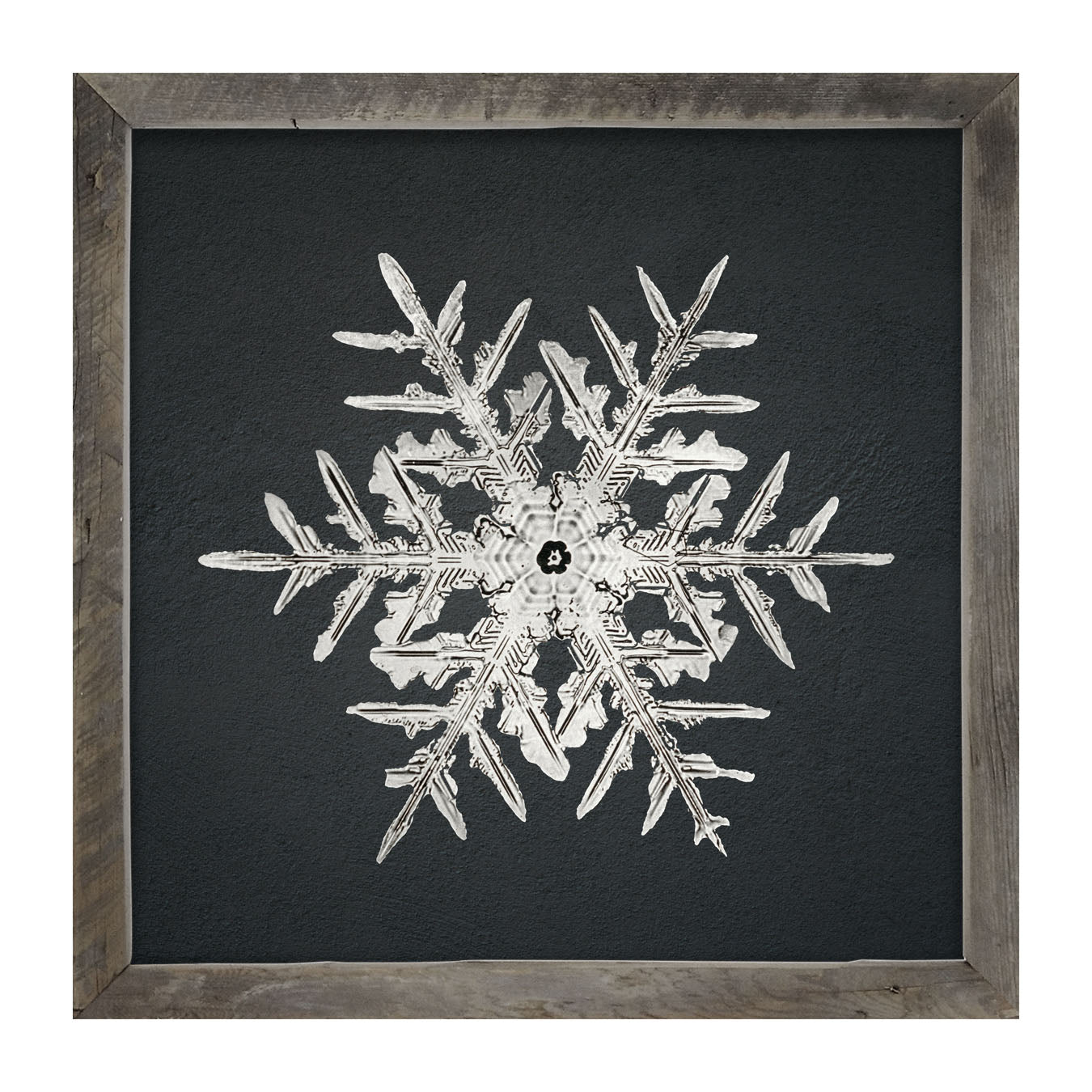 Snowflake-C