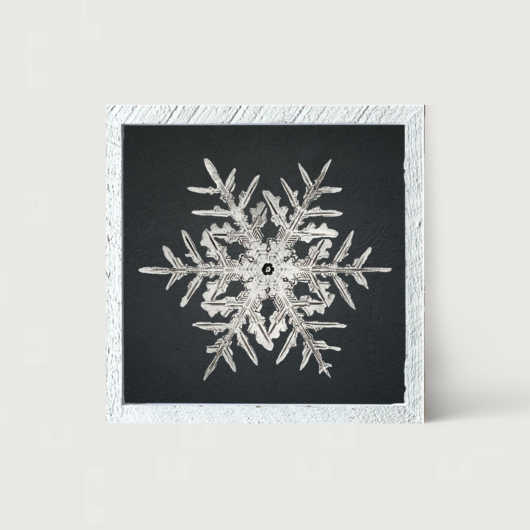 Snowflake-C - Framed art