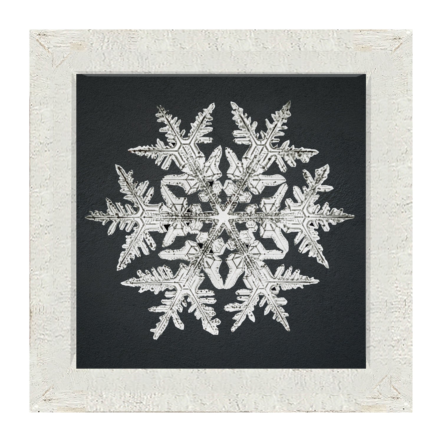 Snowflake-D - Framed art