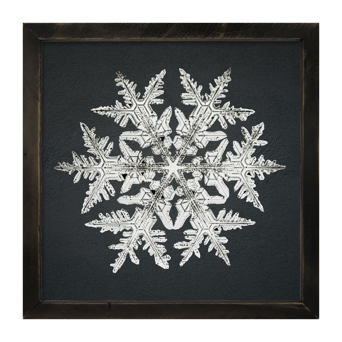 Snowflake-D