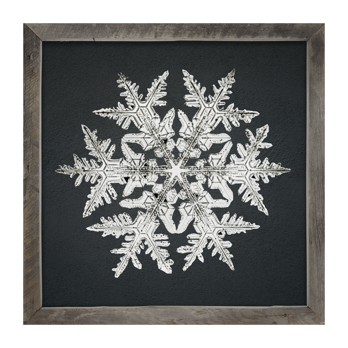 Snowflake-D - Framed art