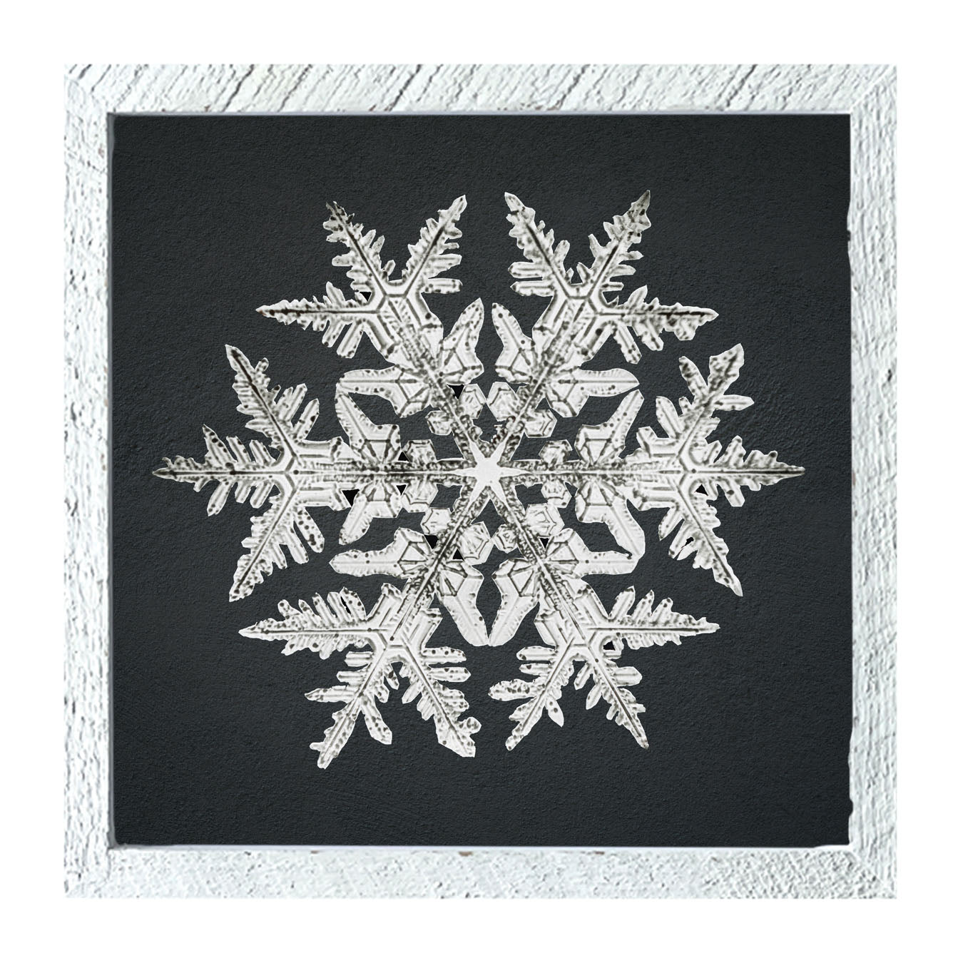 Snowflake-D - Framed art