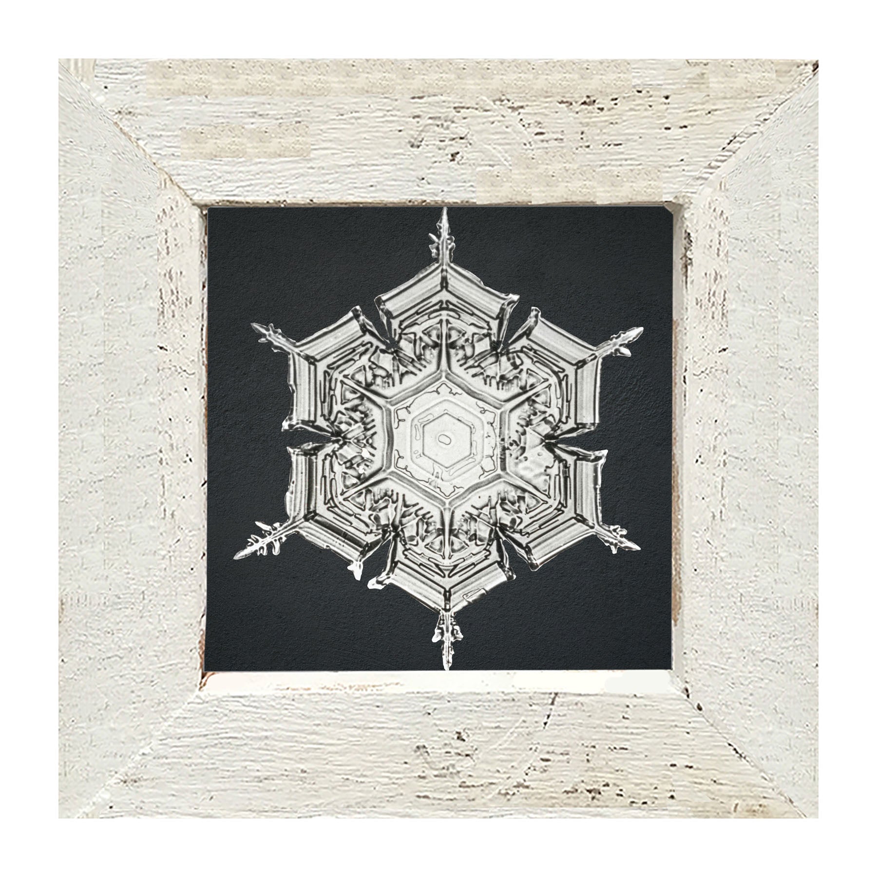 Snowflake-E - Framed art