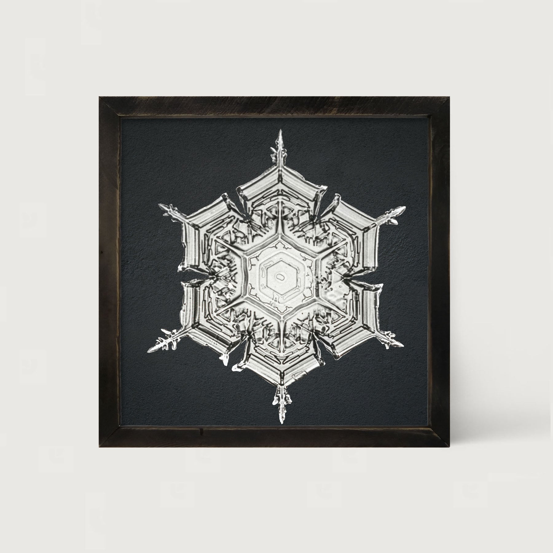 Snowflake-E - Framed art